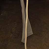 fahne1