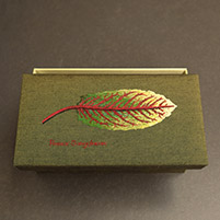 schatulle_rumex